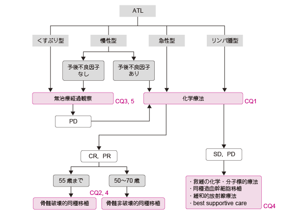 リンパ腫 バー キット