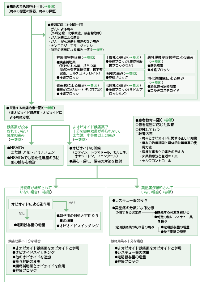 がん診療ガイドライン│疼痛管理│治療ガイドライン