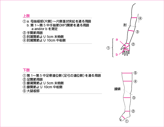 リンパ 浮腫 マッサージ