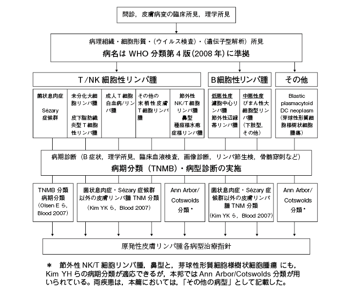 (1)病期分類まて BCC
