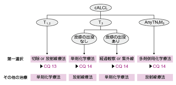 2)原発性皮膚未分化大細胞リンパ腫の治療指針 BCC