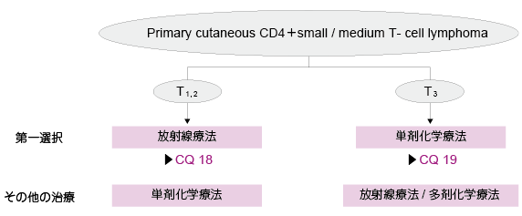 4)原発性皮膚 CD4 陽性小・中型 T 細胞リンパ腫の治療指針 BCC