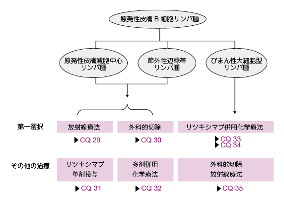 6)原発性皮膚 B 細胞リンパ腫の治療指針 BCC