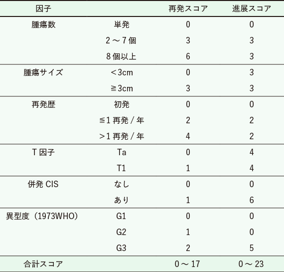 表1 EAU ガイドラインの筋層非浸潤性膀胱癌のスコア化