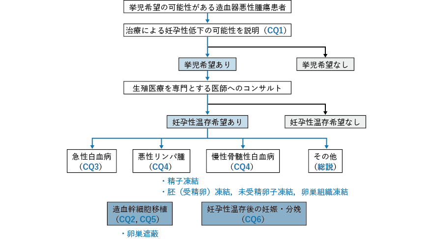 造血器悪性腫瘍における妊孕性温存療法のアルゴリズム