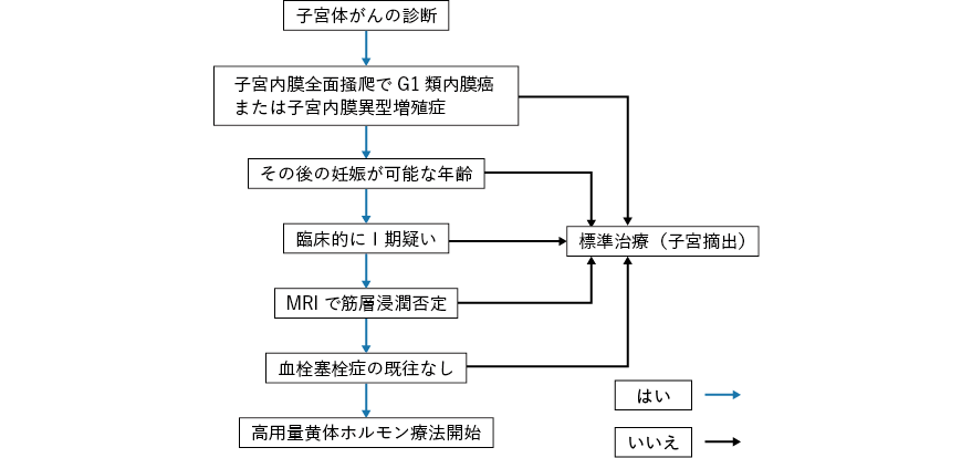 子宮体がん高用量黄体ホルモン療法のアルゴリズム