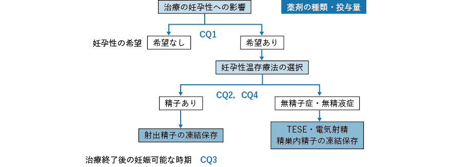 化学療法開始前の精巣腫瘍患者における妊孕性温存療法のアルゴリズム